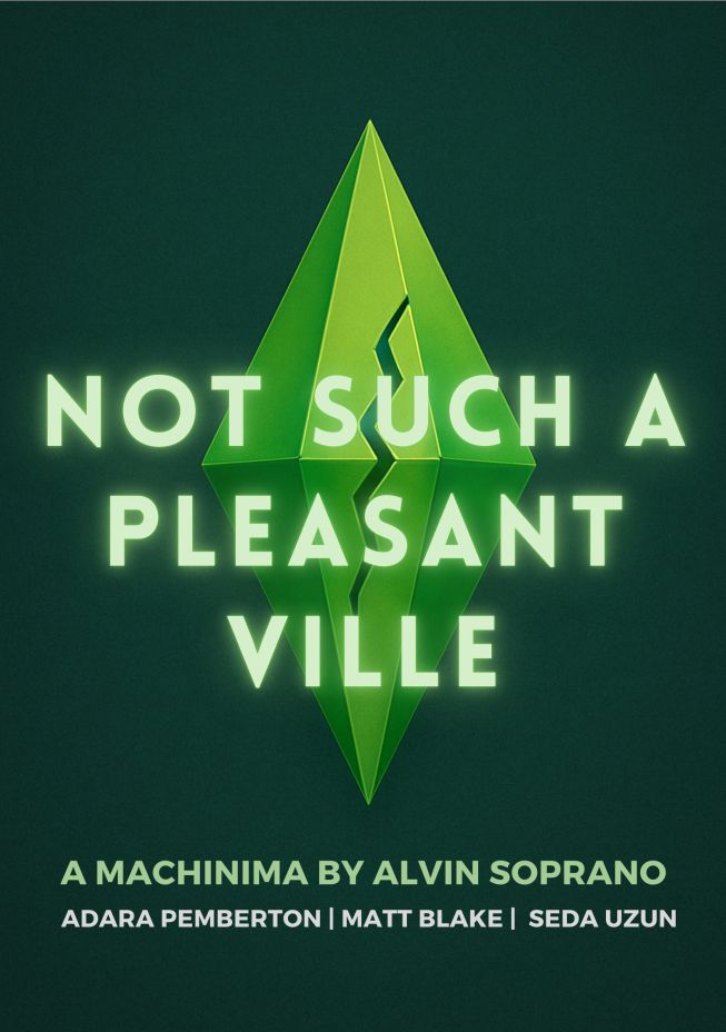 NOT SUCH A PLEASANTVILLE (2009)