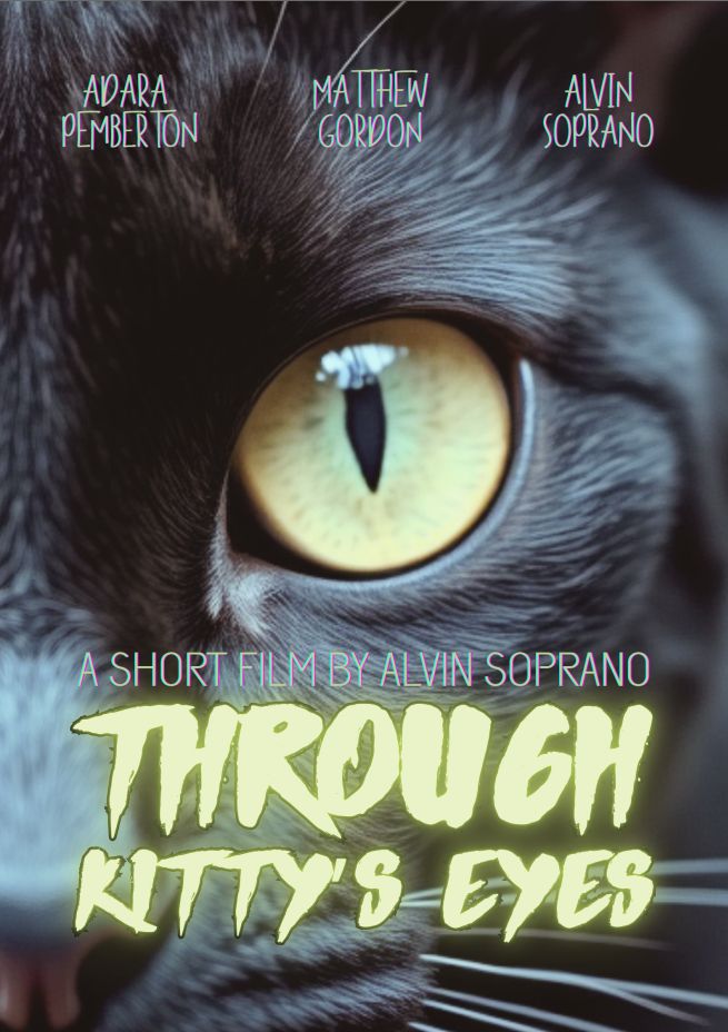 THROUGH KITTY’S EYES (2013) BY ALVIN SOPRANO